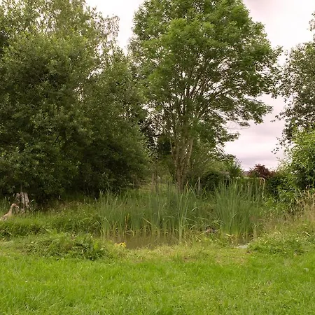 Hébergement de vacances Maison Druyard Met 5 Slaapkamers *
