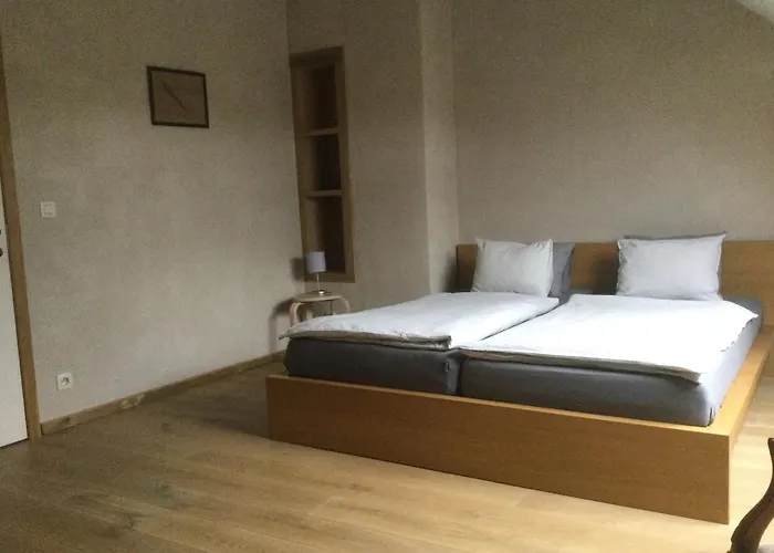 Maison Druyard Met 5 Slaapkamers * Дюрбюи